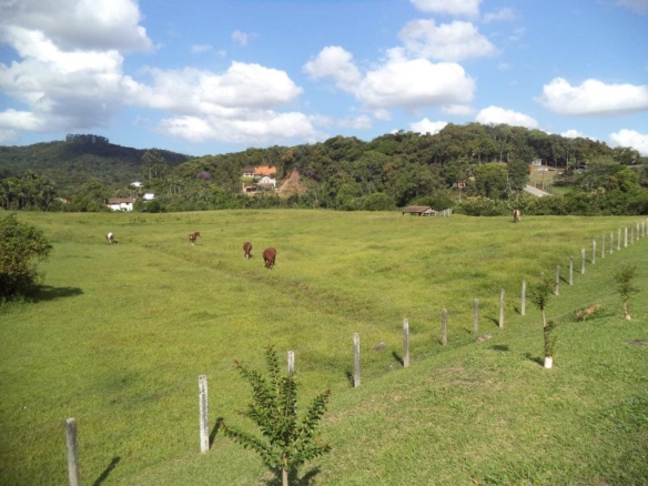 Terreno Industrial 33.190 m2- Blumenau /SC